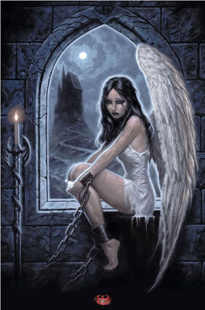 Captive Angel by Virginia Aird