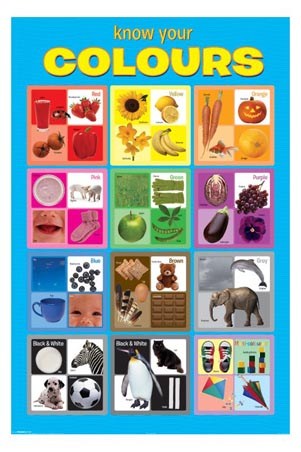 Know Your Colours - Babies & Toddlers Learning Colours Visually