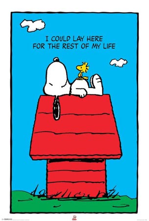 I could lay here for the rest of my life - Snoopy
