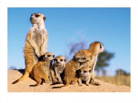 Babysitting! - Clem Haagner
