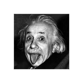 Wild Genius - Albert Einstein
