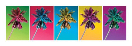 Pop Art Palms, Colourful Palm Trees - PopArtUK