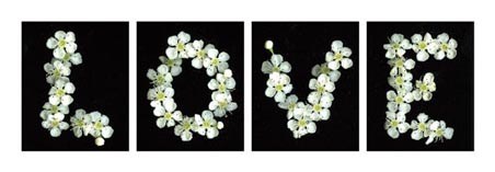 Love - In Flowers