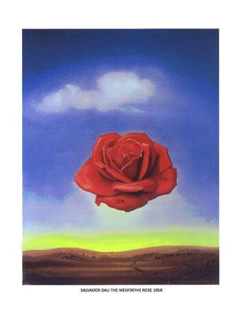 Download The Meditative Rose (1958), Salvador Dali Print - PopArtUK
