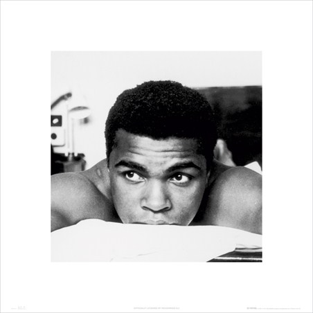 A Boxing Legend - Muhammad Ali