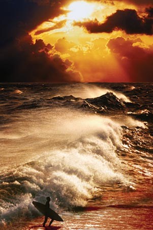 The Surf - At the Beaches Edge