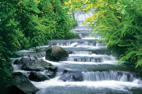 Fortuna Falls - Costa Rica
