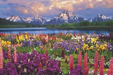 View of the Mountains, Grand Teton National Park - PopArtUK