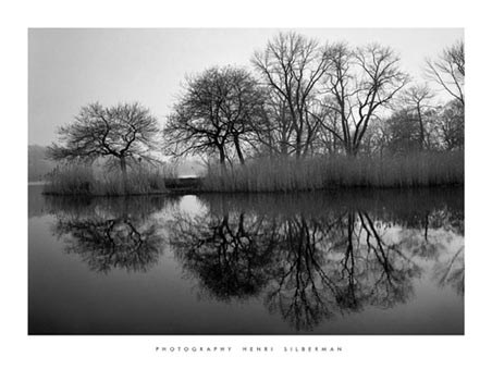 Black & White Photography Posters, Prints, Wall Murals & Canvas Prints ...