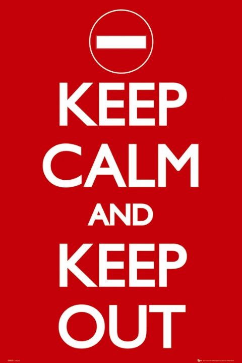 Keep Calm and Go Shopping Mini Poster 40cm x 50cm new and sealed
