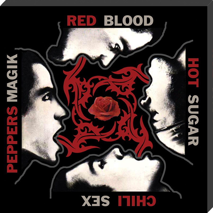 Blood Sex Sugar Magic Classic Album Cover Red Hot Chili Peppers Canvas Buy Online Jack played on our debut album as well as our first tour of the usa. blood sex sugar magic classic album cover