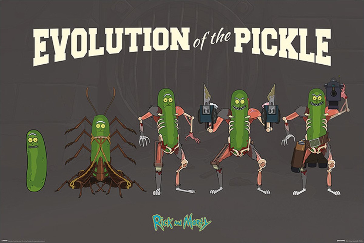 Evolution Of The Pickle Rick And Morty Poster Buy Online