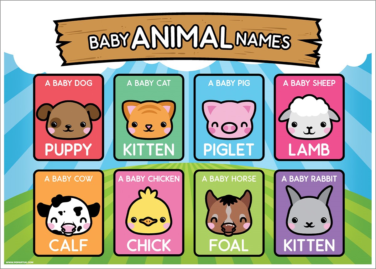 Baby Animal Names, Learning Is Fun Poster - Buy Online