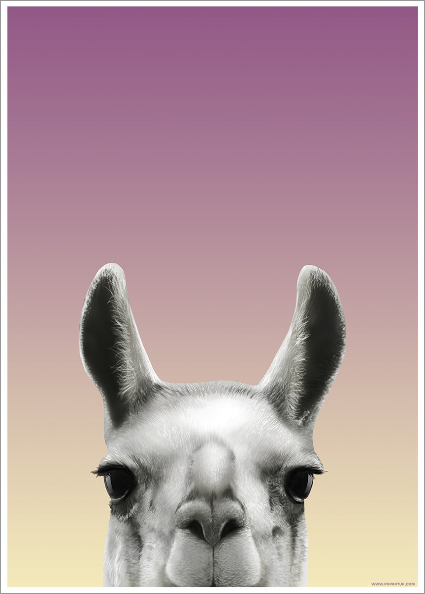 Inquisitive Creatures Poster Llama 32x44cm Vintage Nautical Home Decor Posters Prints Boboliha Home Garden