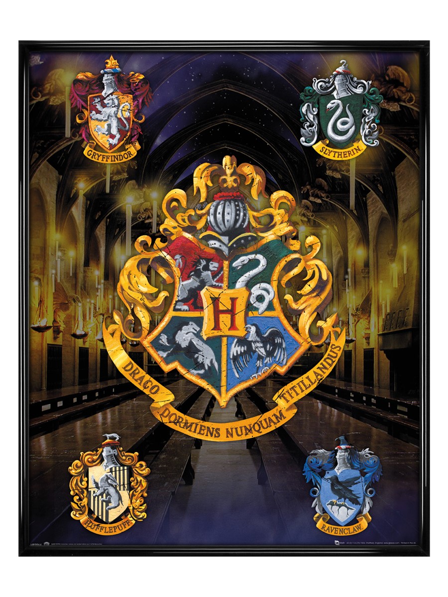 Größe 40x50 cm Gryffindor Flag Mini Poster Plakat Druck Harry Potter 